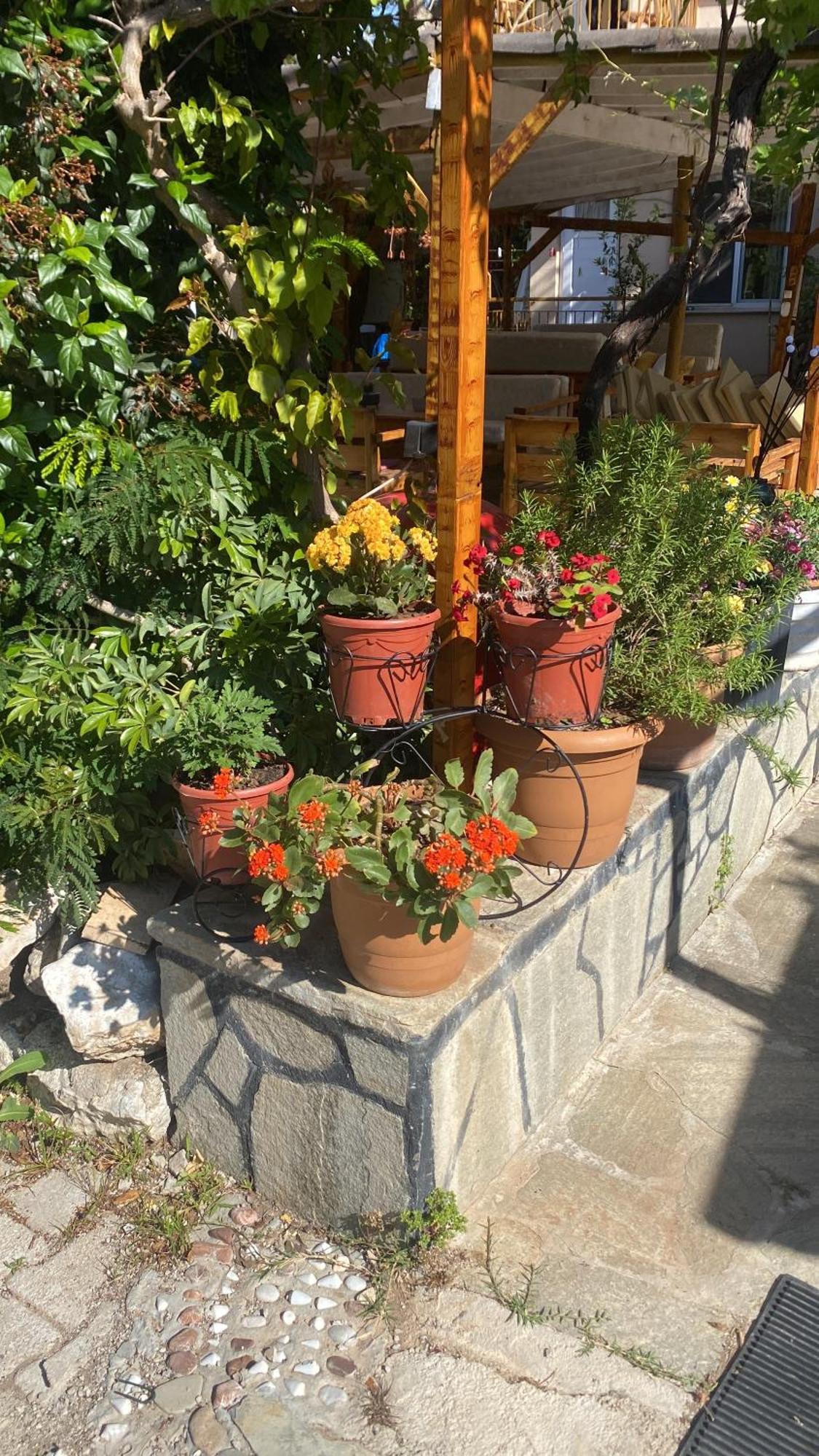 Rosemary Pansiyon Çıralı Eksteriør bilde